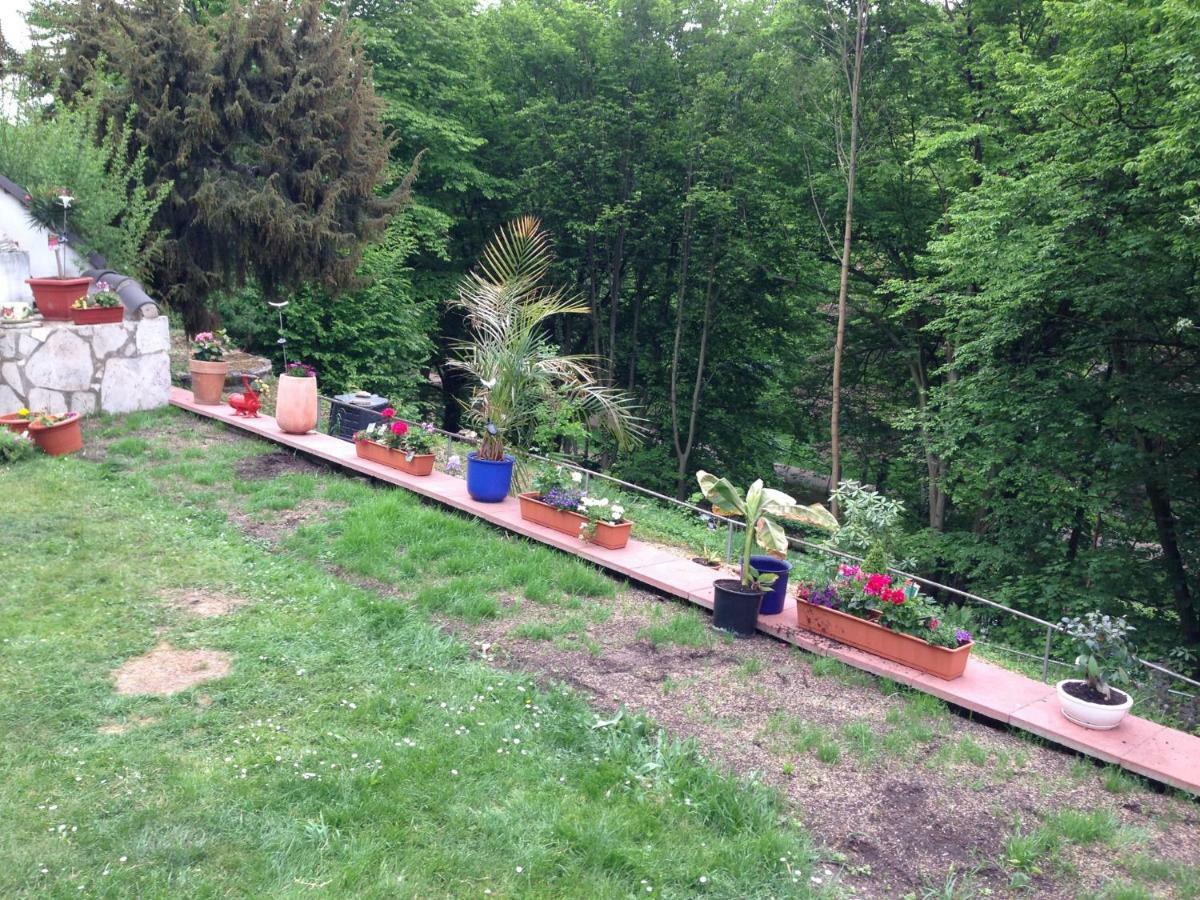 Schoene Ferienwohnung Dg Eisenach Luaran gambar